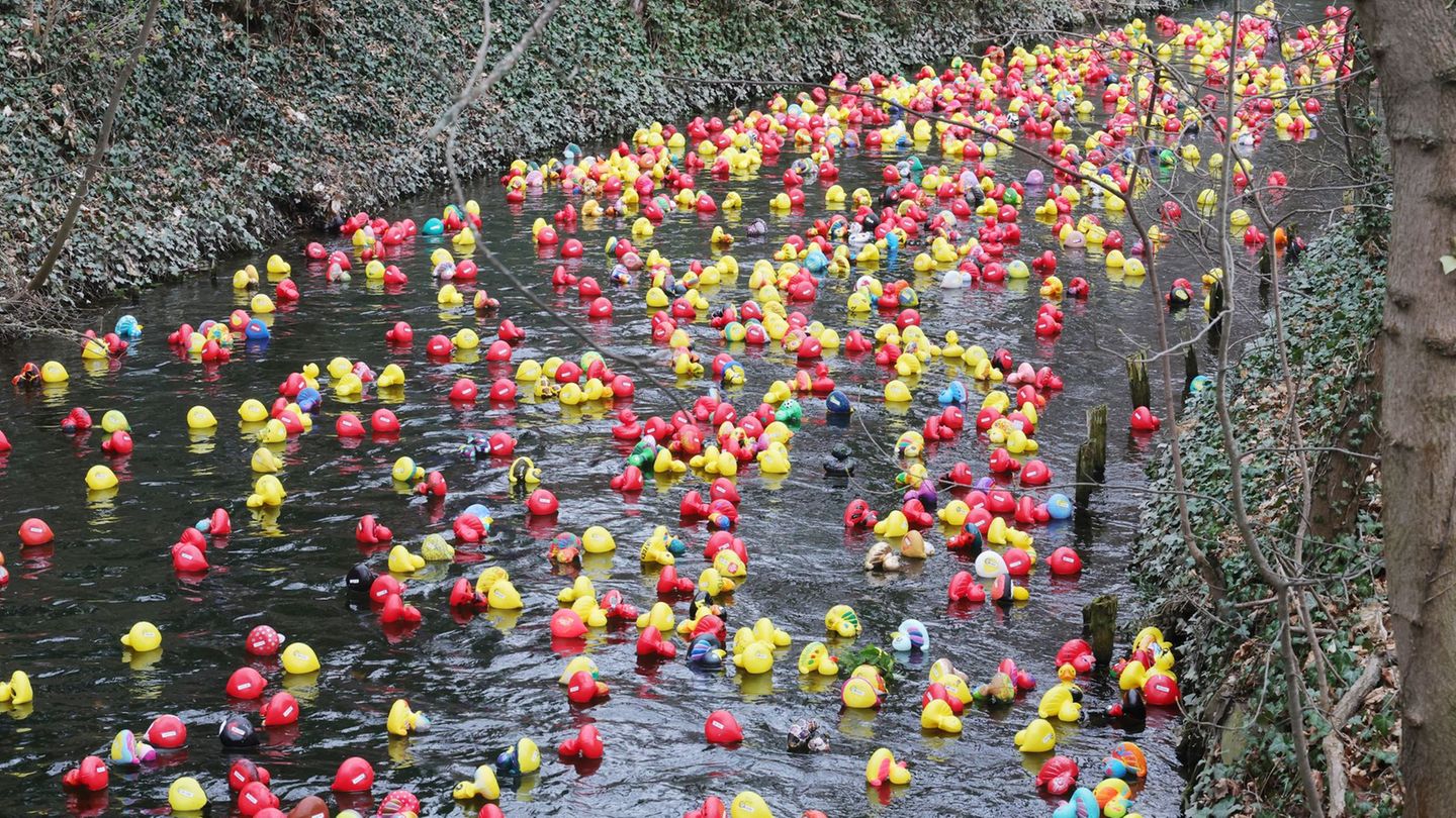Das Entenrennen hat sich in den vergangenen Jahren zu einem festen Termin im Veranstaltungskalender der Landeshauptstadt entwick