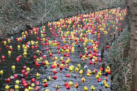 Das Entenrennen hat sich in den vergangenen Jahren zu einem festen Termin im Veranstaltungskalender der Landeshauptstadt entwick
