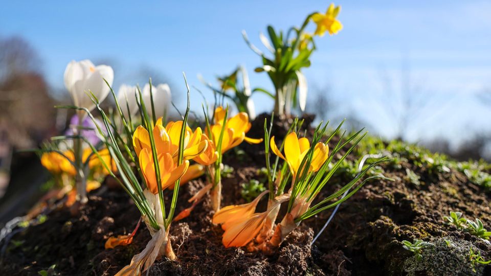 Weterw Wetter in Deutschland: Sonntag bringt Sonne und bis zu 17 Grad | STERN.de