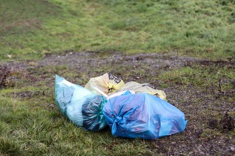 Hunderte Helfer sammelten in Jena entlang der Saale wieder große Müllmengen ein. (Symbolbild) Foto: Jan Woitas/dpa-Zentralbild/d