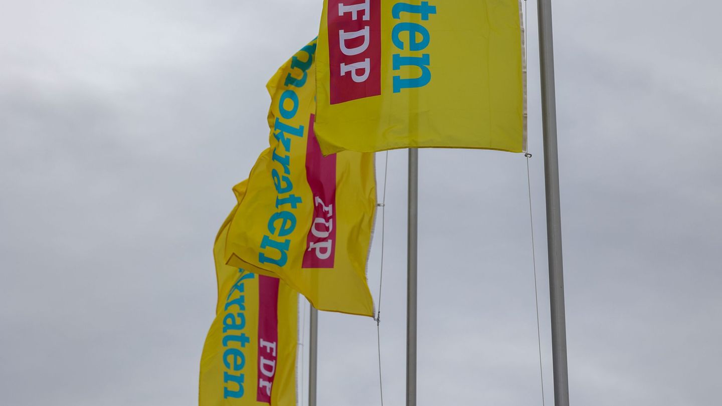 Nach intensiver Diskussion haben die Freien Demokraten in MV ihr Landtagswahlprogramm für den Bereich Bildung beschlossen. (Arch