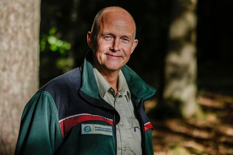 Landesforsten-Chef Freise ruft zu vernünftigem Verhalten im Wald auf. (Archivbild) Foto: Frank Molter/dpa