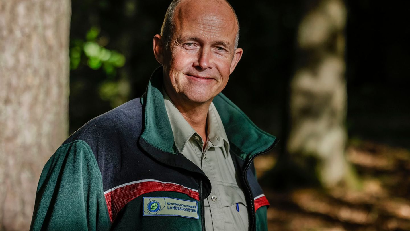 Landesforsten-Chef Freise ruft zu vernünftigem Verhalten im Wald auf. (Archivbild) Foto: Frank Molter/dpa