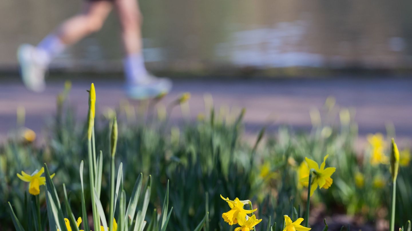 Laufschuhe an und los: Im Frühling gibt es viele Laufveranstaltungen in NRW. (Symbolbild) Foto: Rolf Vennenbernd/dpa