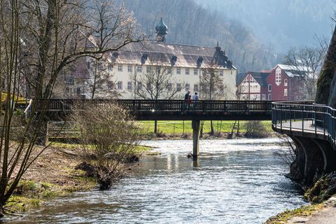 Es wird in Baden-Württemberg stellenweise frühlingshaft am Sonntag. (Archivbild) Foto: Silas Stein/dpa