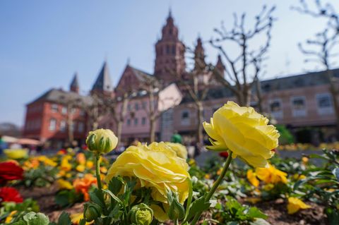 Das Wetter bleibt zunächst frühlingshaft. Foto: Andreas Arnold/dpa