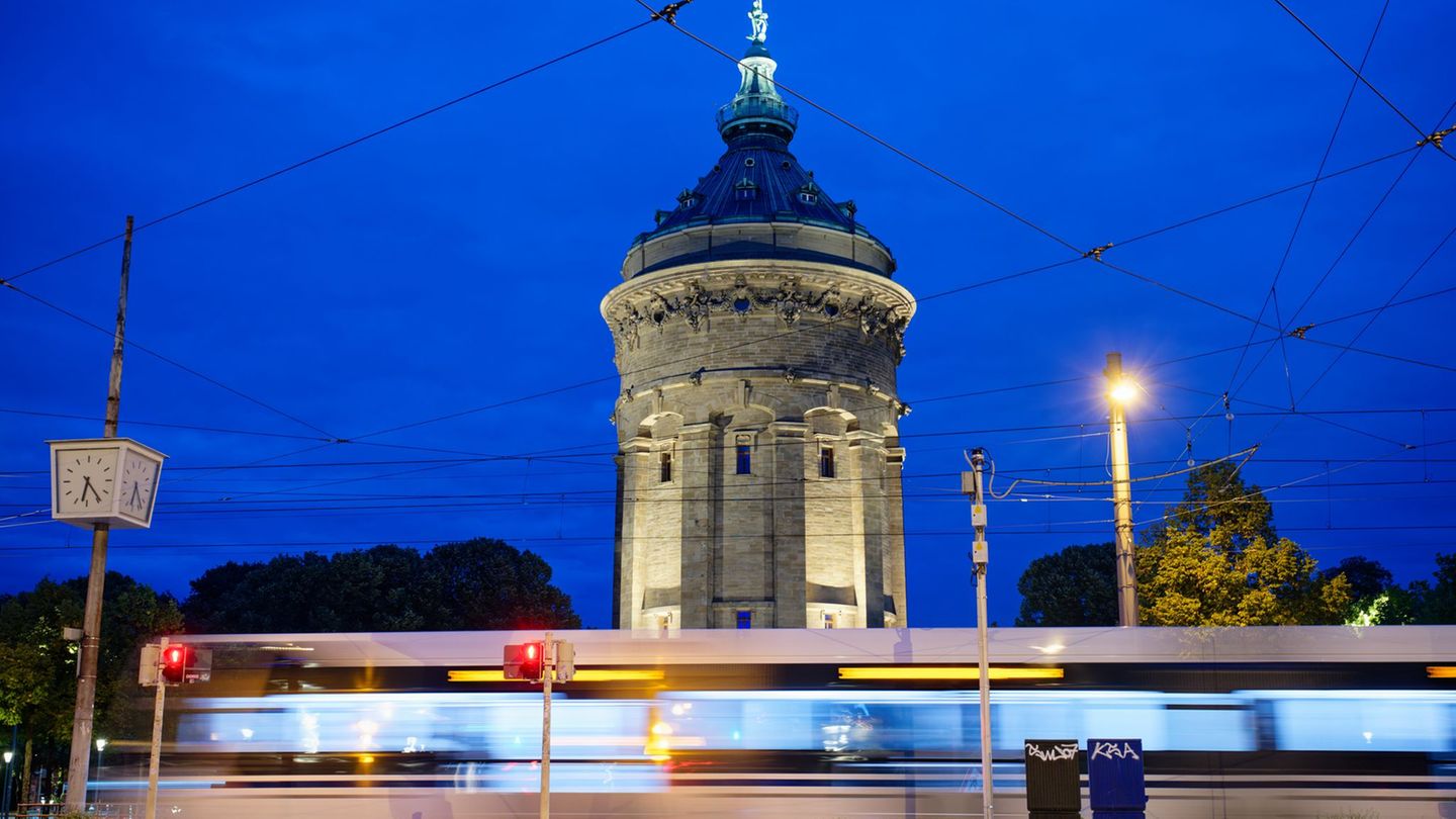 In Mannheim prallen zwei Straßenbahnen zusammen. (Symbolbild) Foto: Uwe Anspach/dpa