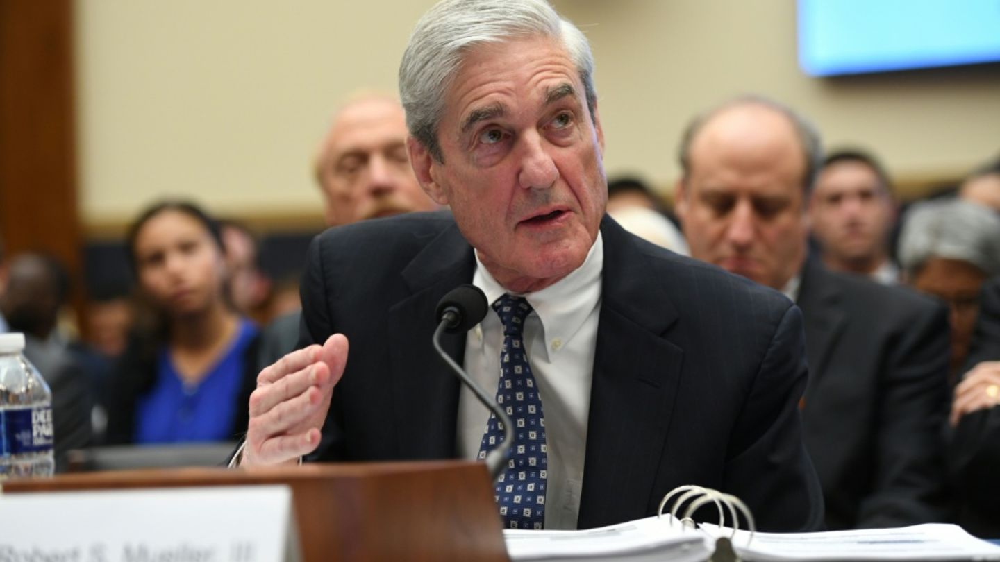 Mueller 2019 im US-Kongress