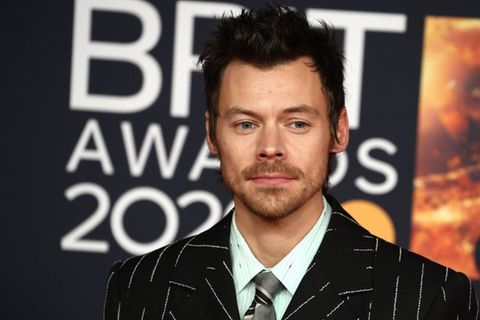 Harry Styles entspannt gerne daheim - in einer Sauna.