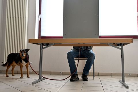 Wahltag in Rheinland-Pfalz: Stellt erstmals seit 35 Jahren eine andere Partei als die SPD den Regierungschef? Foto: Harald Titte