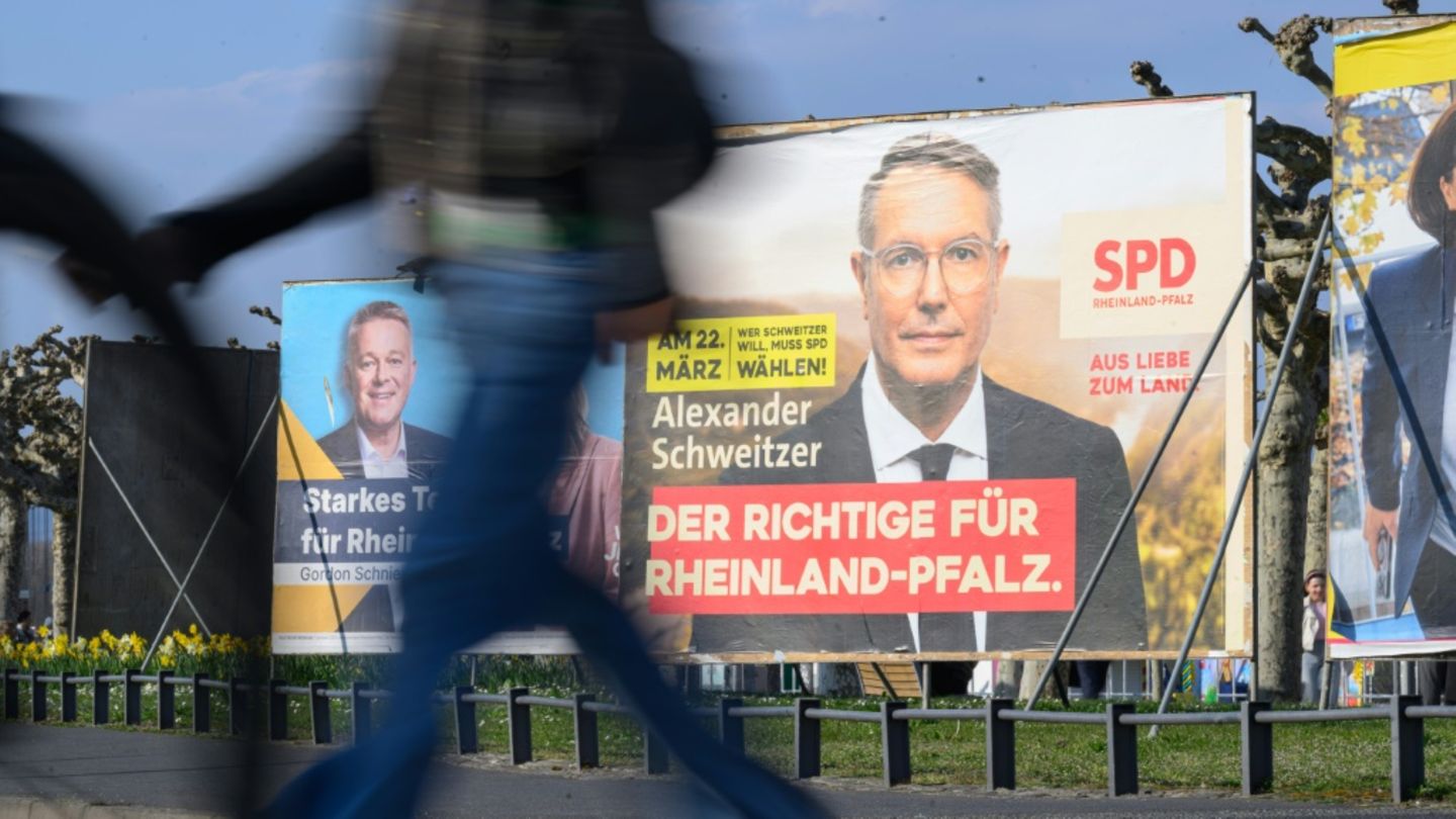 Wahlplakate in Mainz