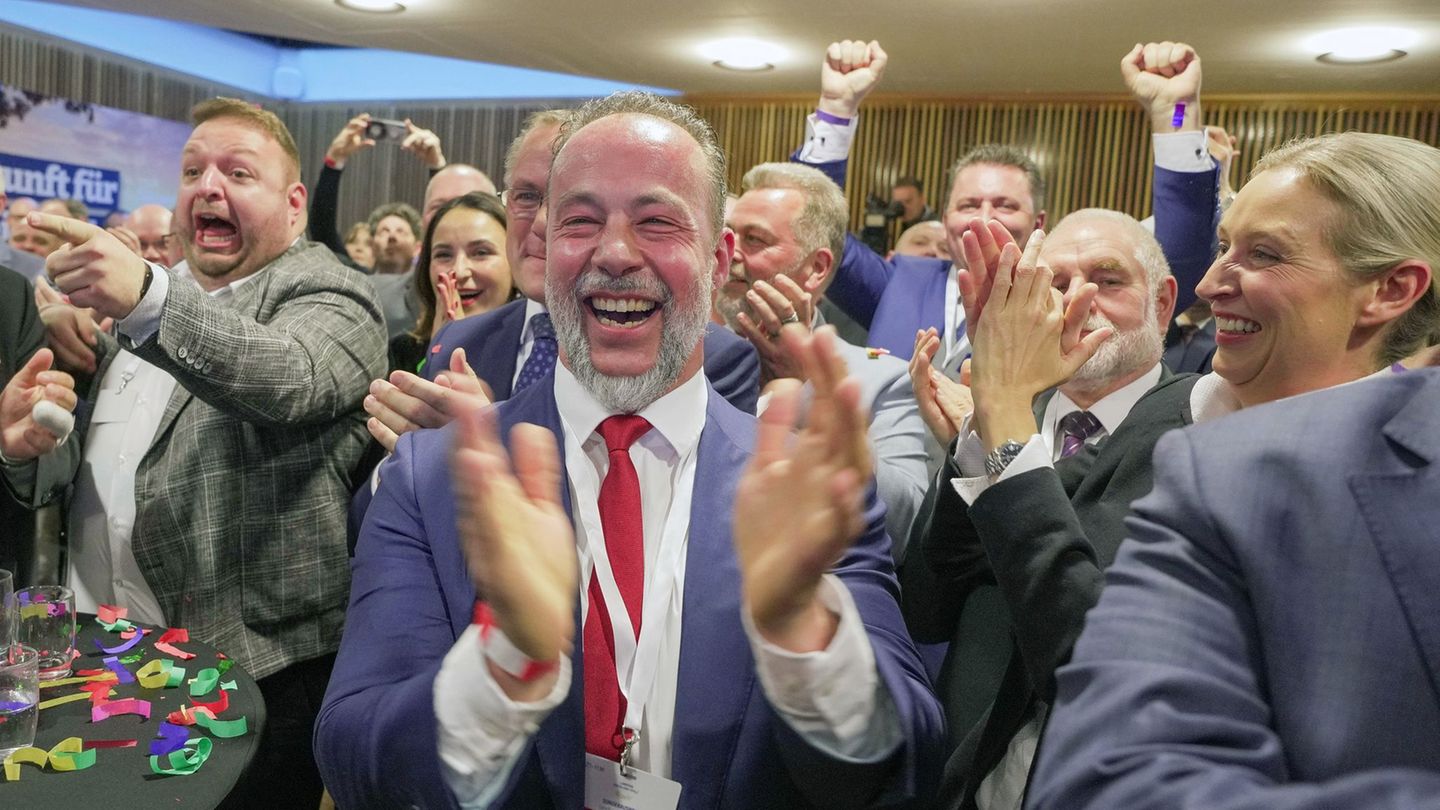 Die AfD um Jan Bollinger hat deutlich zugelegt. Foto: Andreas Arnold/dpa