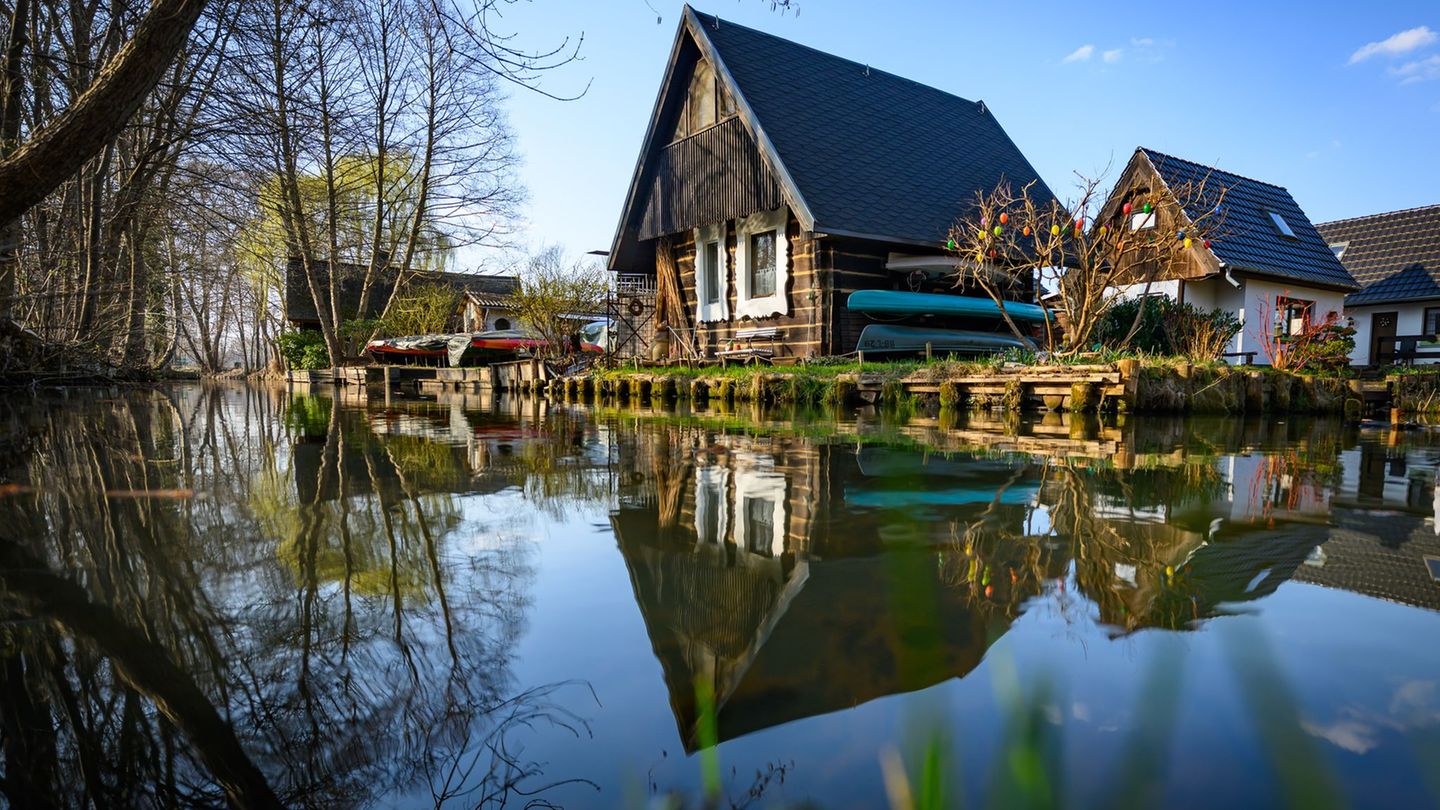 In den nächsten Tagen soll nach sonnigem Wochenstart Regen folgen. (Archivbild) Foto: Patrick Pleul/dpa