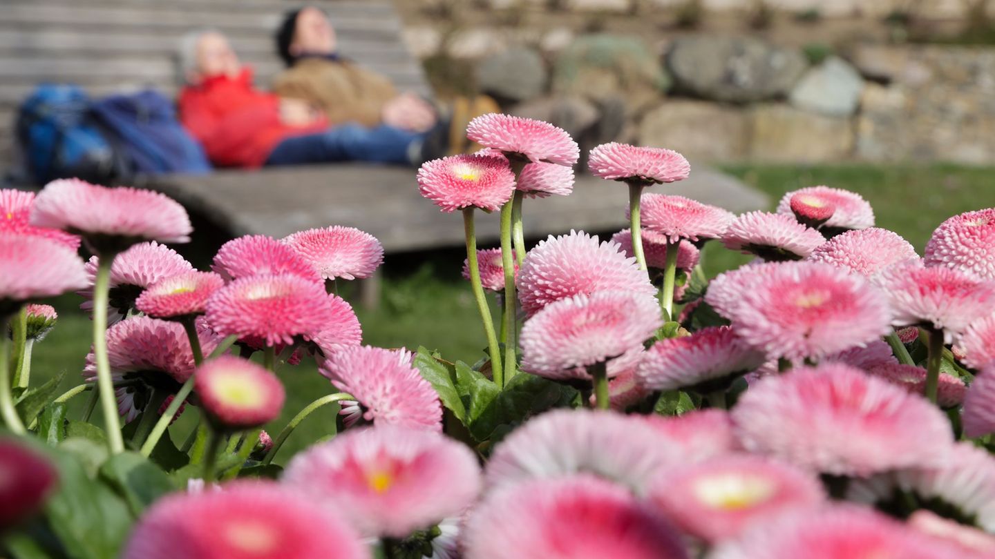 Der Wochenstart wird frühlingshaft in Baden-Württemberg. Foto: Thomas Warnack/dpa