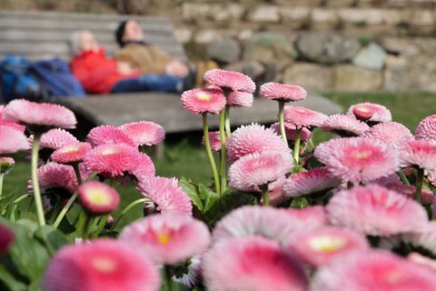 Der Wochenstart wird frühlingshaft in Baden-Württemberg. Foto: Thomas Warnack/dpa