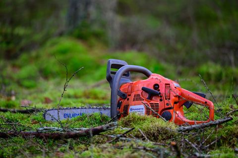 Ein 22-Jähriger wird bei Baumfällarbeiten im Main-Kinzig-Kreis schwer verletzt. (Symbolbild) Foto: Philipp Schulze/dpa