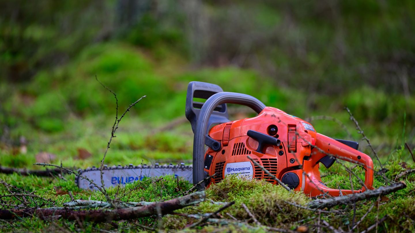 Ein 22-Jähriger wird bei Baumfällarbeiten im Main-Kinzig-Kreis schwer verletzt. (Symbolbild) Foto: Philipp Schulze/dpa