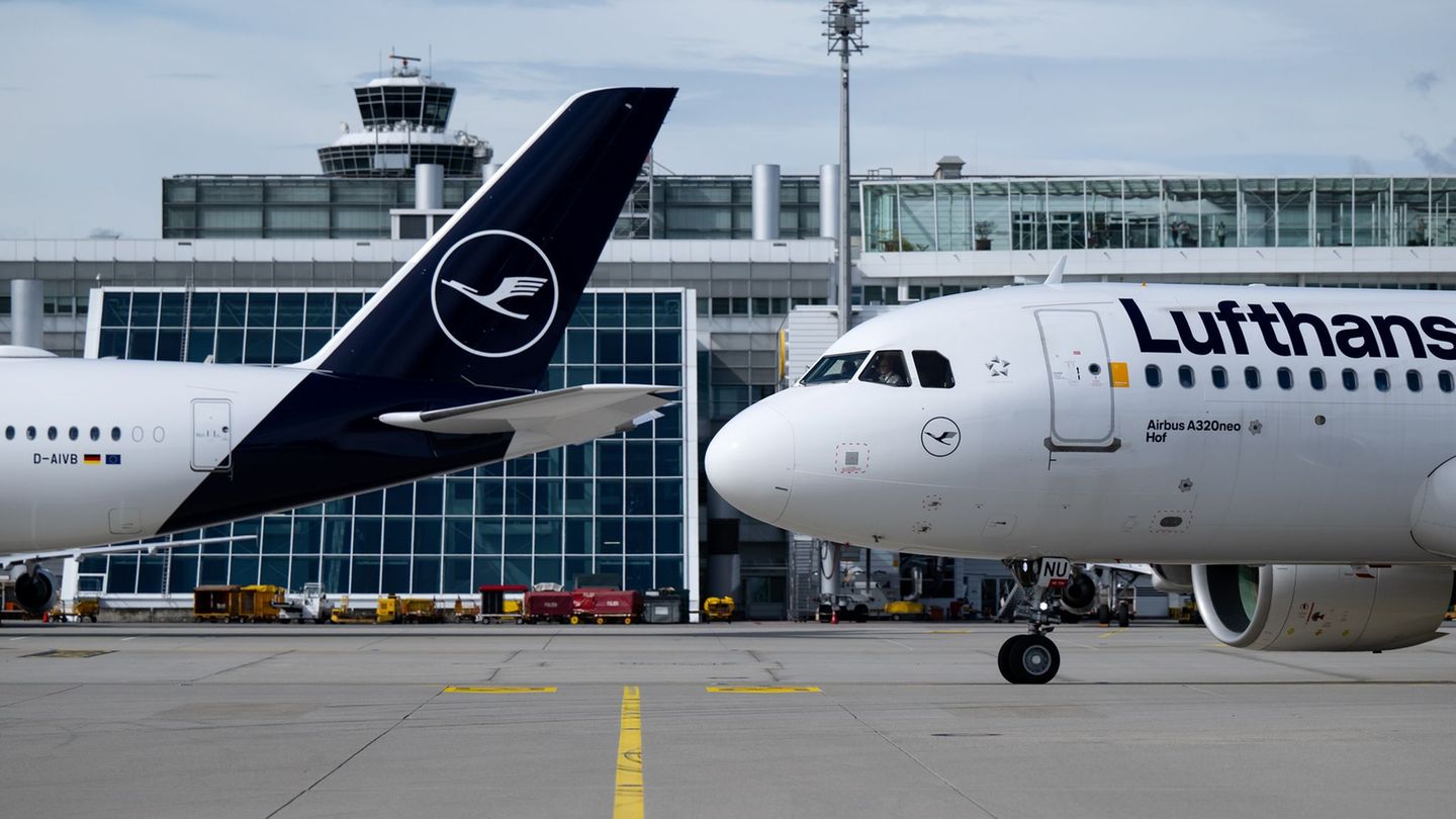 Lufthansa-Maschinen am Münchner Flughafen. (Symbolbild) Foto: Sven Hoppe/dpa