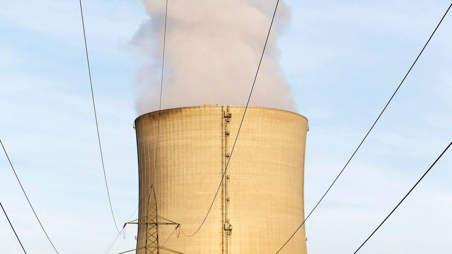 Das AKW liegt 20 Kilometer südlich der Grenze zu Deutschland. (Archivbild) Foto: picture alliance / dpa