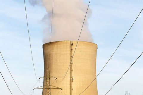 Das AKW liegt 20 Kilometer südlich der Grenze zu Deutschland. (Archivbild) Foto: picture alliance / dpa