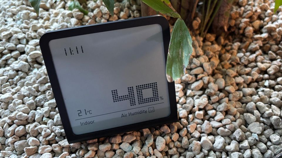 stern Hygrometer Test: Stadler Form Selina