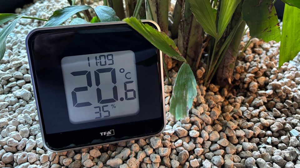 stern Hygrometer Test: TFA Dostmann Style
