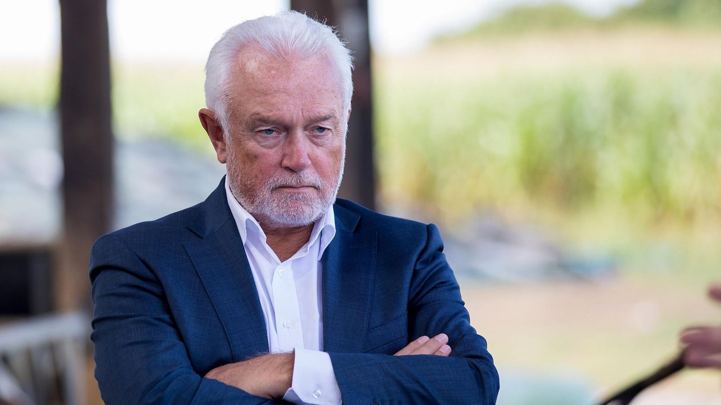 Wolfgang Kubicki mit verschrenkten Armen und ernstem Blick