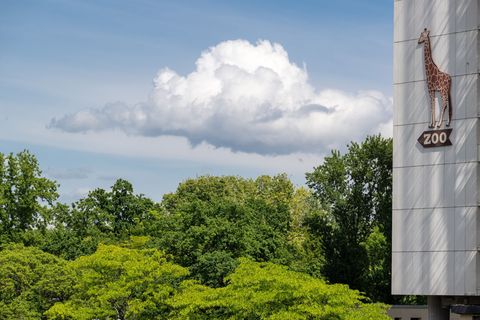 Nicht nur im Zoo, auch im Tierheim Berlin gab es zuletzt Fälle. (Archivbild) Foto: Soeren Stache/dpa
