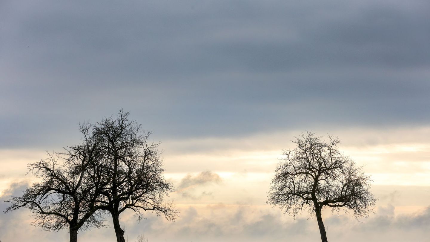 Wetter: Frühling macht Pause: So kalt wird es zum Wetterwechsel