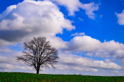 Wolken ziehen über Brandenburg auf und verdecken den blauen Himmel. (Symbolbild) Foto: Patrick Pleul/dpa