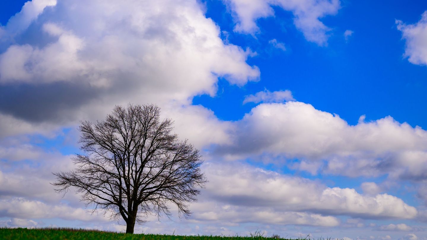 Wolken ziehen über Brandenburg auf und verdecken den blauen Himmel. (Symbolbild) Foto: Patrick Pleul/dpa