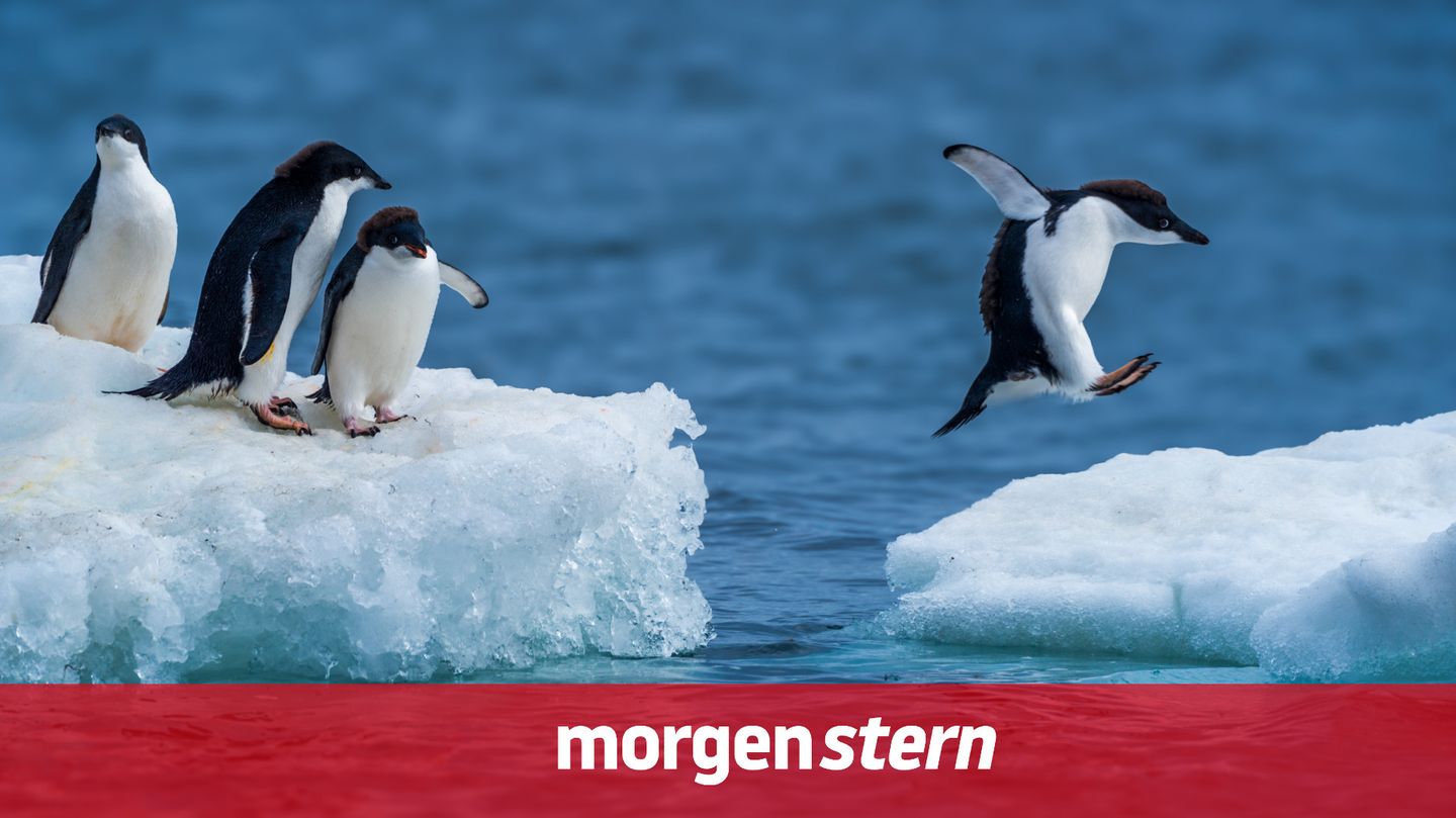 morgenstern: Der Klimawandel nimmt immer mehr Tempo auf