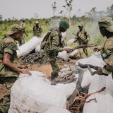 Soldaten zerstören illegale Köhlereien