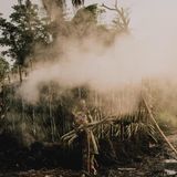 Familien verbrennen Holz
