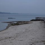 Buckelwal im Morgengrauen am Dienstag