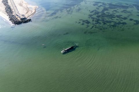 Der Buckelwal hängt nur wenige Meter vom Timmendorfer Strand in der Ostsee fest