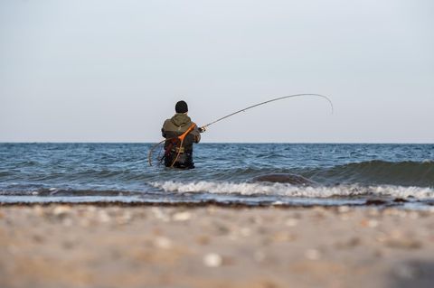 Ein Angler steht mit Wathose in den Wellen der Ostsee und geht seinem Hobby nach