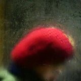 Person mit roter Mütze im Bus