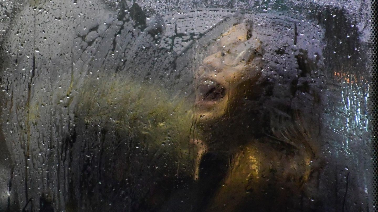 Frau mit geöffnetem Mund im Bus