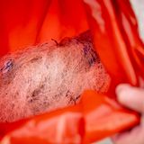 Netzreste vom Buckelwal