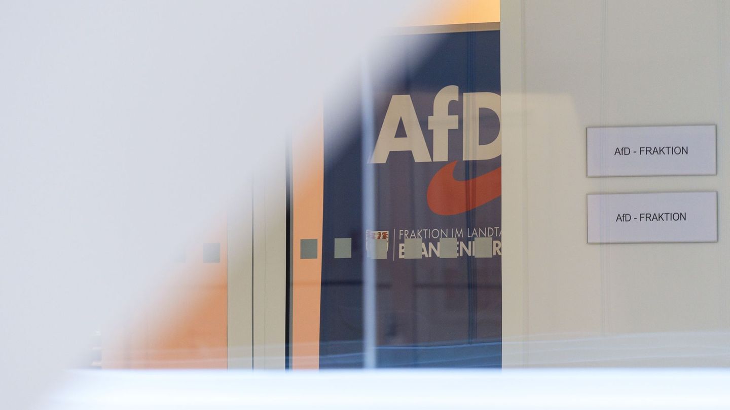 Die Brandenburger AfD-Landtagsfraktion darf nicht an einem Praktikumstag für Schüler mitmachen (Archivbild). Foto: Soeren Stache