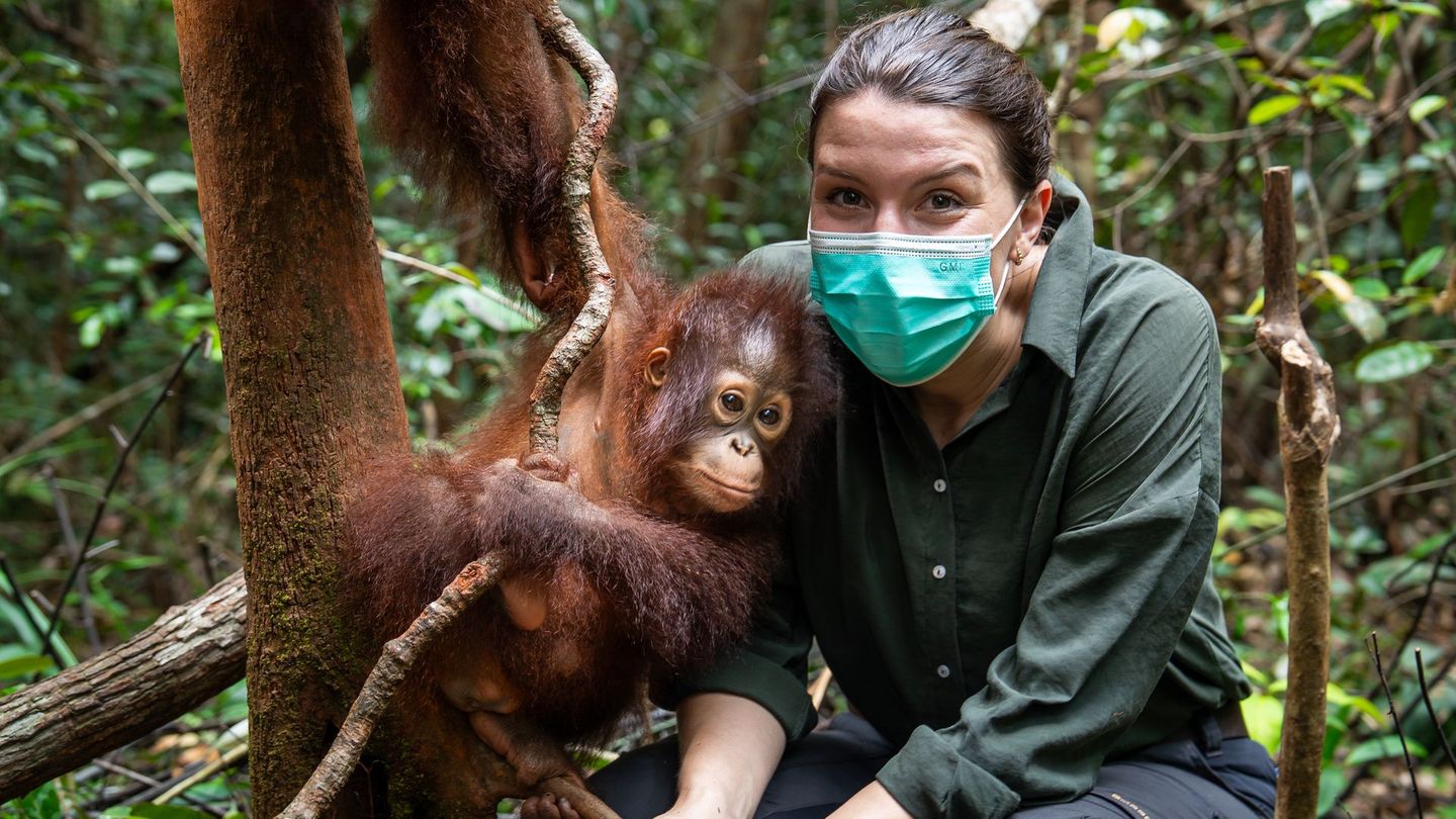 Für Hannah Emde und das Terra X-Team geht es in der letzten Folge von "Terra X: Faszination Erde – mit Hannah Emde" nach Borneo.