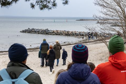 Das Schicksal des Buckelwals bewegt viele Menschen. Foto: Ulrich Perrey/dpa