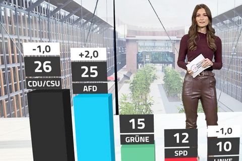 RTL/ntv-Trendbarometer: AfD macht Sprung an Union heran, FDP verschwindet