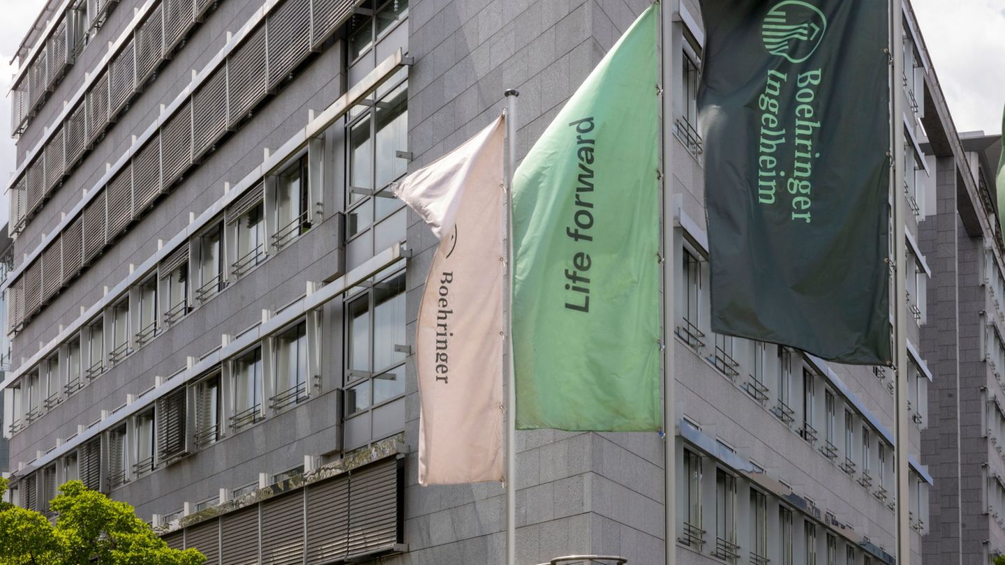 Der Pharmakonzern Boehringer Ingelheim verdient sein Geld mit Humanmedizin und Tiergesundheit. (Archivbild) Foto: Helmut Fricke/