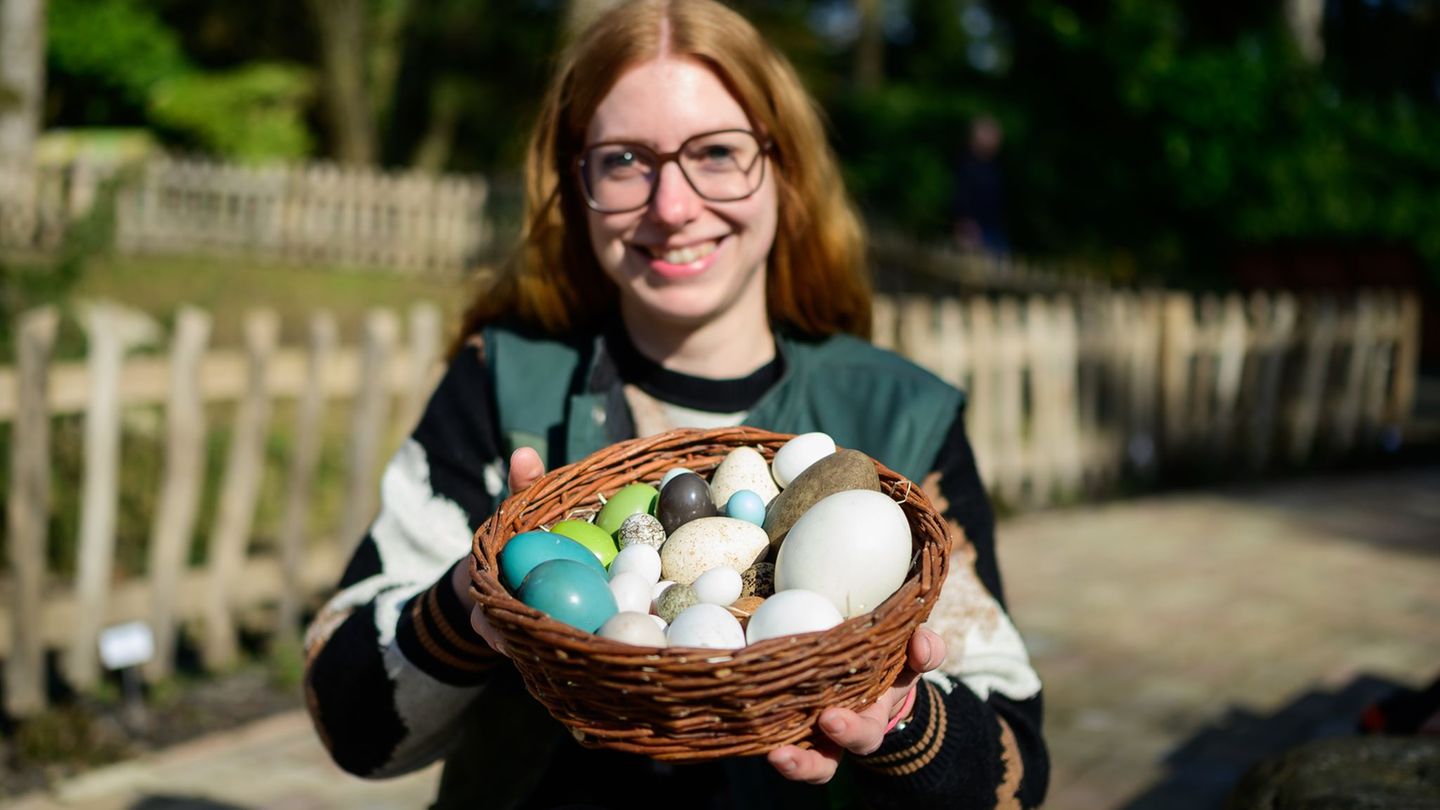 Der Vogelpark in Walsrode meldet Nachwuchs bei vielen Arten. Foto: Philipp Schulze/dpa