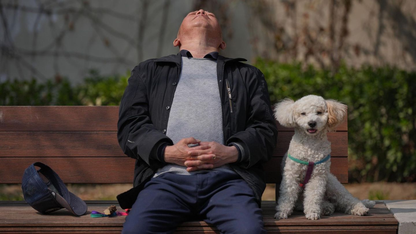 Ein Mann macht ein Nickerchen auf einer Bank, neben ihm ein Hund