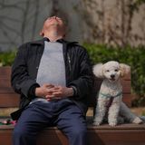 Ein Mann macht ein Nickerchen auf einer Bank, neben ihm ein Hund