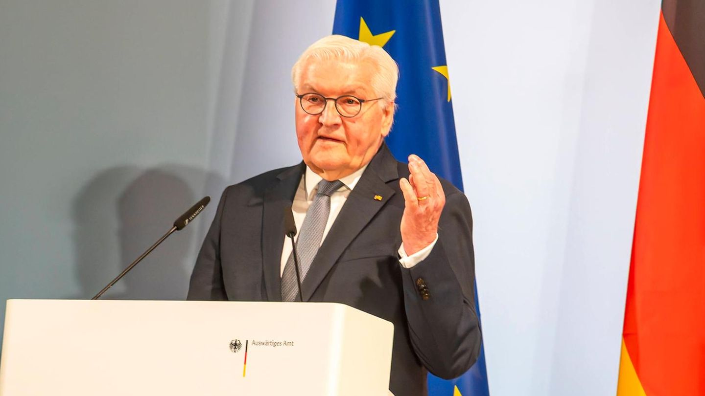 Bundespräsident: Warum Steinmeier den Kanzler brüskierte – und Beifall der AfD in Kauf nahm