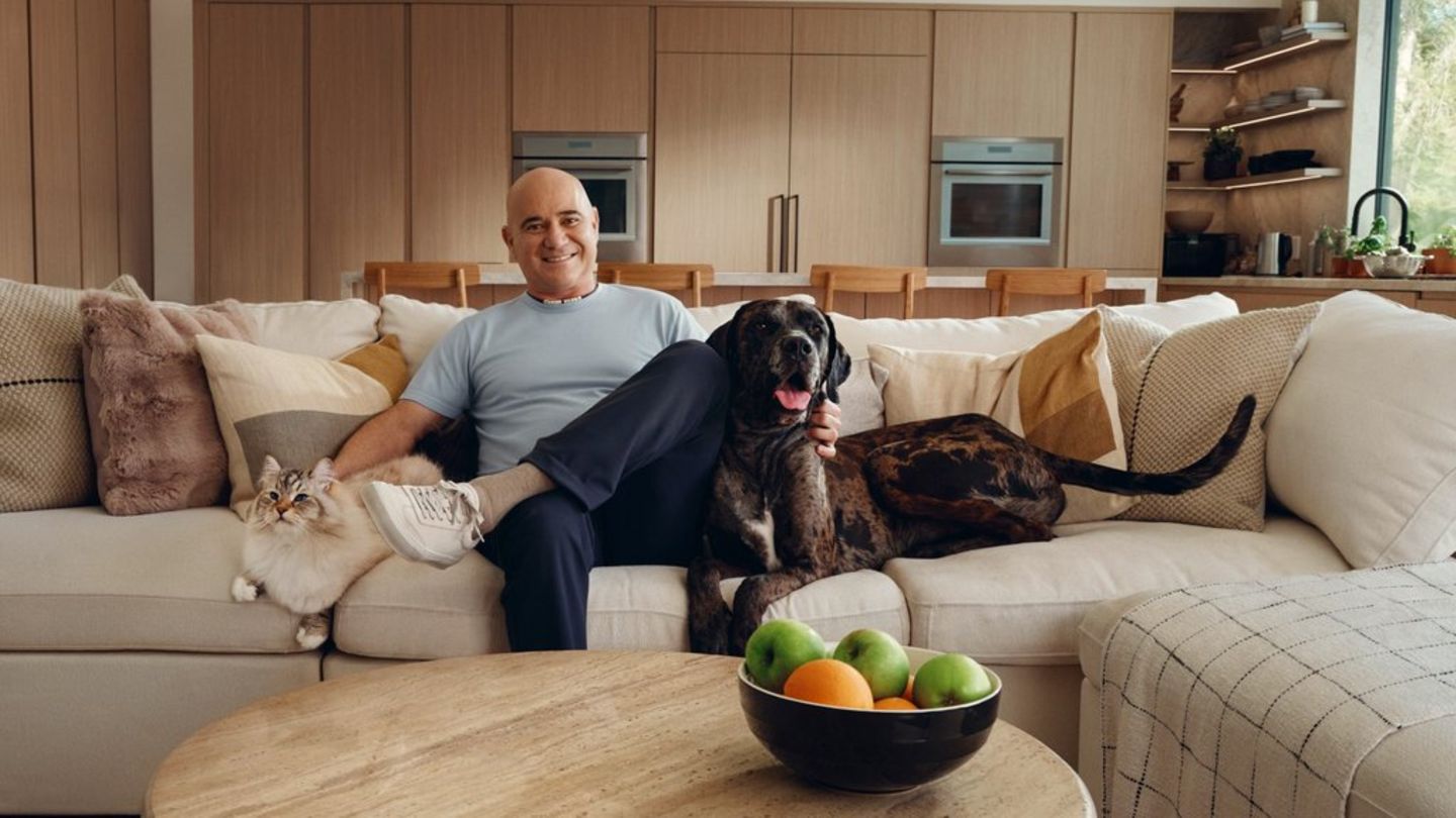 Herd, Hund und Katze statt Spiel, Satz und Sieg - Andre Agassis Leben hat sich deutlich verändert.